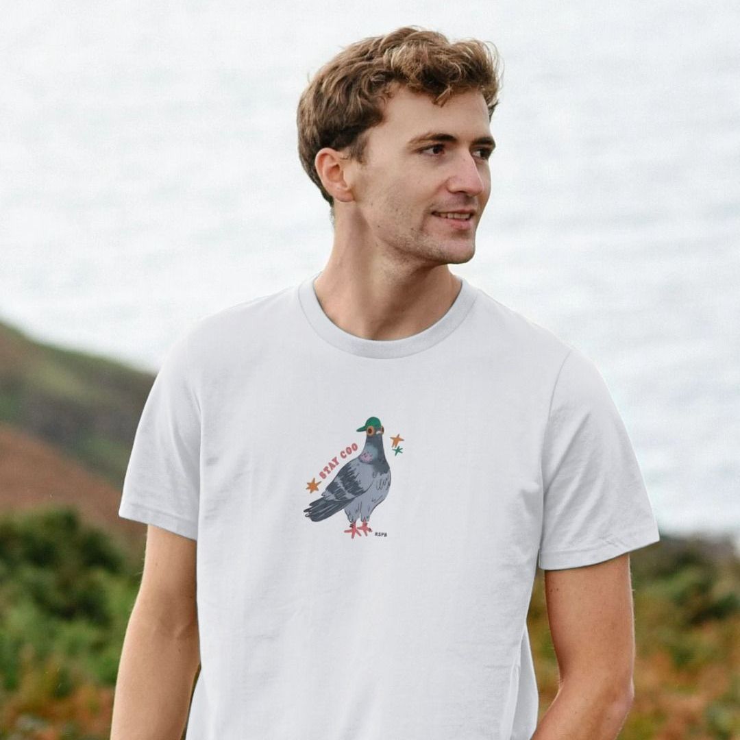 Stay Coo — Premium Pigeon Graphic Tee